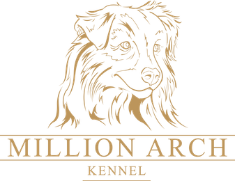 Kennel Million Arch